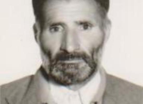 محمد قلعه نویی