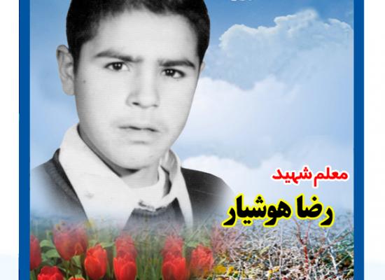 رضا هوشیار