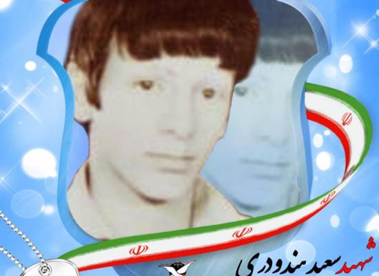 سعید هندودری