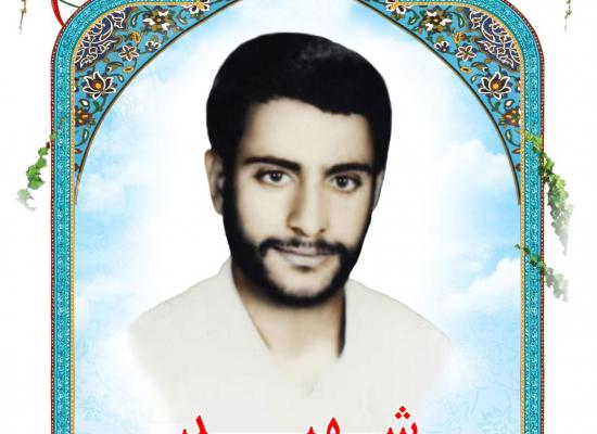 سید علی اکبر احمدی سیاوشانی