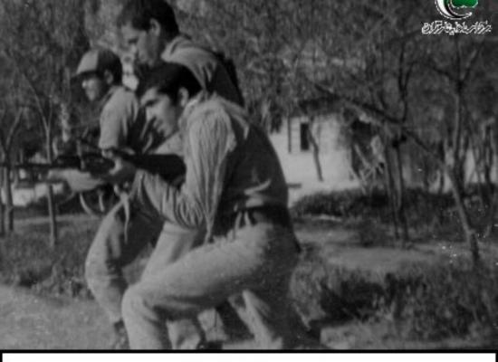 عبدالرضا صالحی