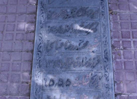 محمدرضا عباسی