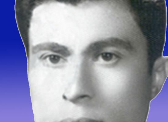 علی اکبر نامدار