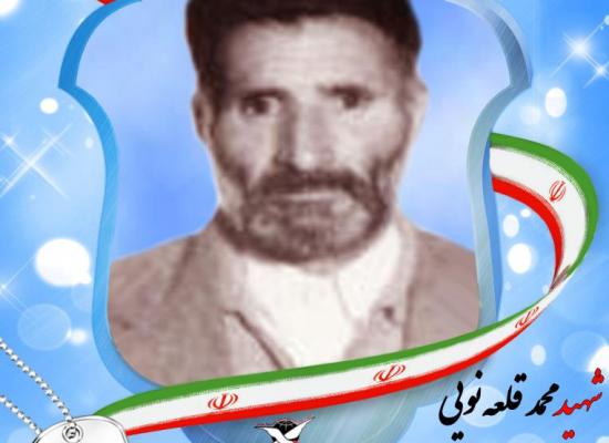 محمد قلعه نویی