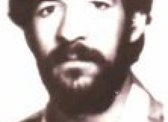 رضا ایجانی شراهی