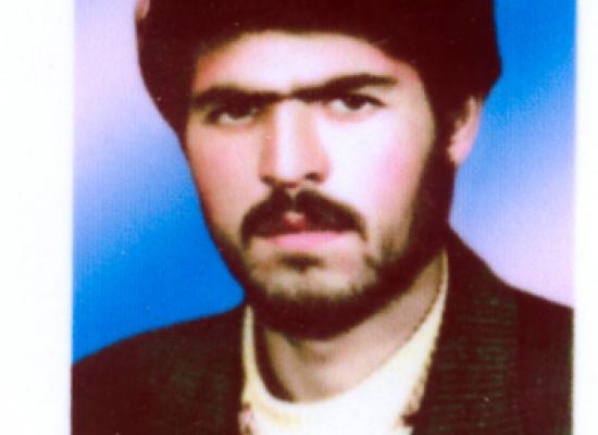 داود محمدی شاملو