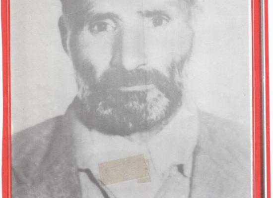 محمد قلعه نویی