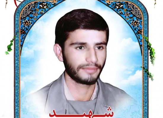 محمدرضا زاهدی