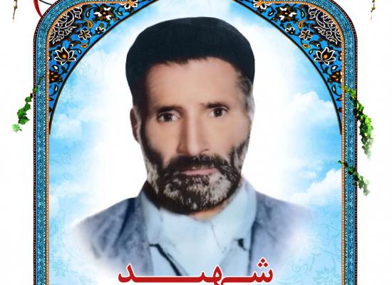 محمد قلعه نویی