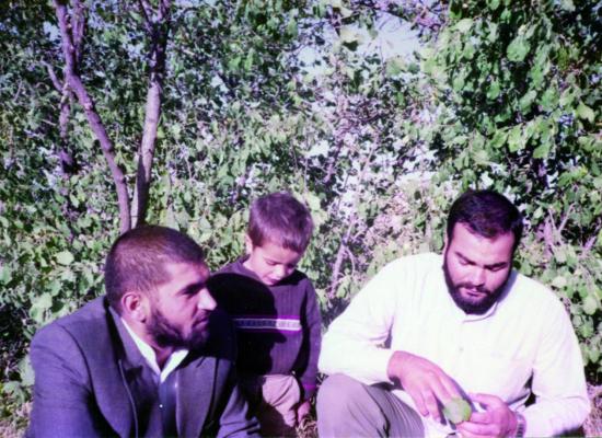 کاوه نبیری