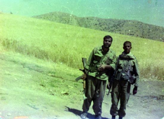 کاوه نبیری