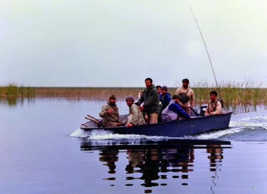 کاوه نبیری