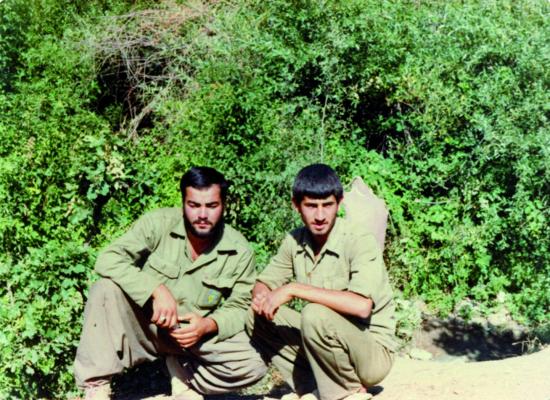 کاوه نبیری