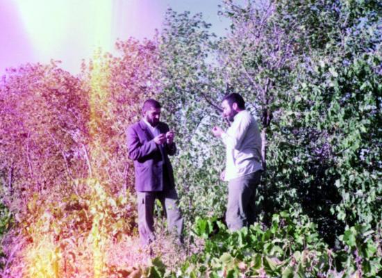 کاوه نبیری