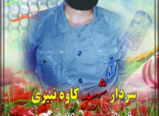 کاوه نبیری