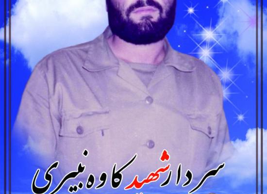 کاوه نبیری