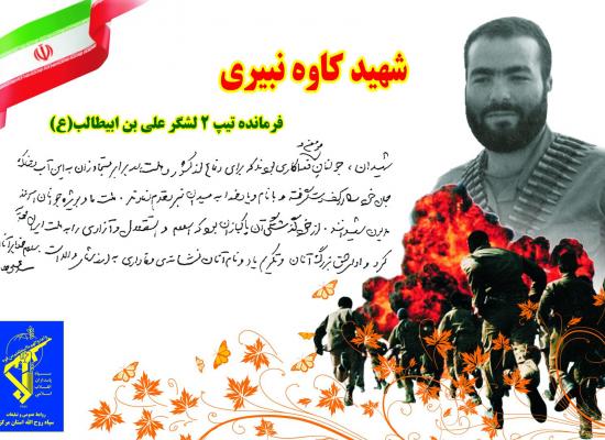 کاوه نبیری