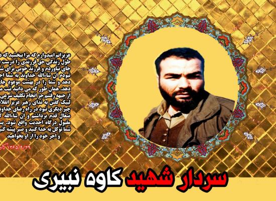 کاوه نبیری