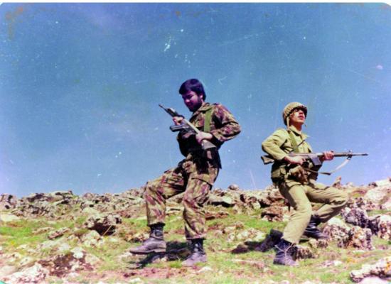 کاوه نبیری