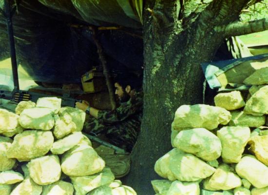 کاوه نبیری
