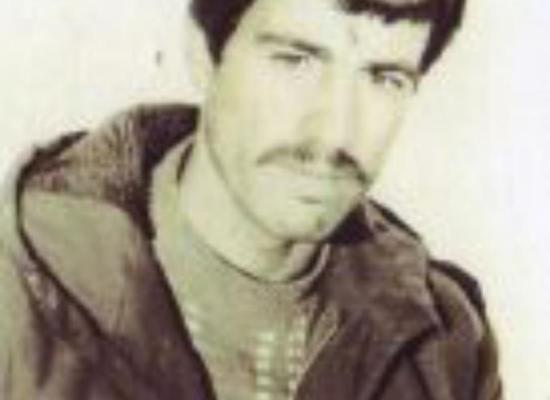 علی ابوالحسنی 