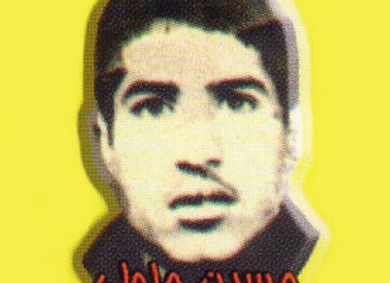 محمد حسین جلولی